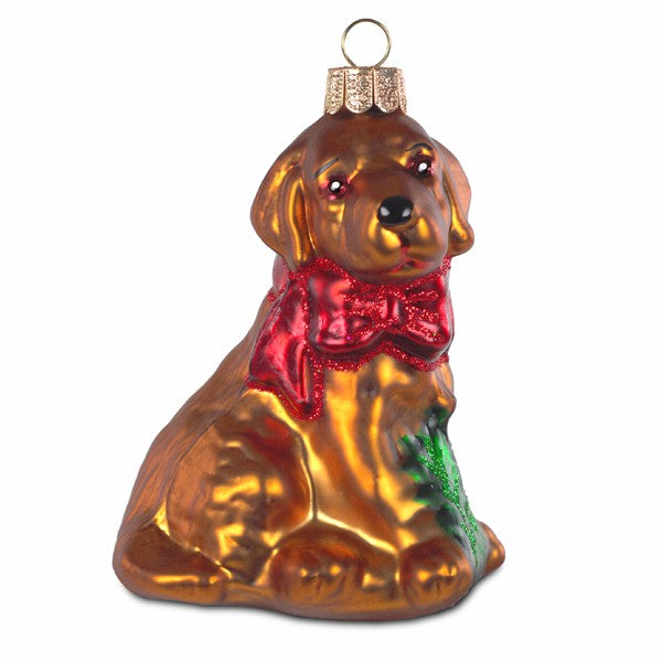 Labrador No.182