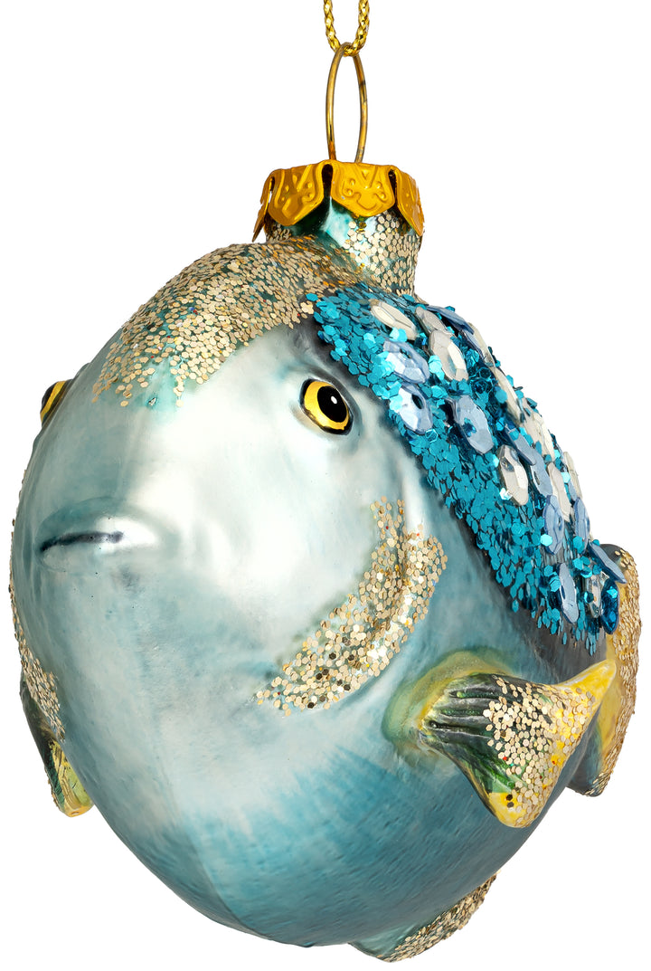 Doktorfisch No.906