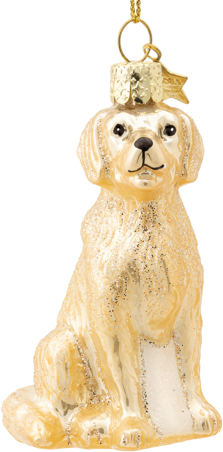 Golden Retriever No.639