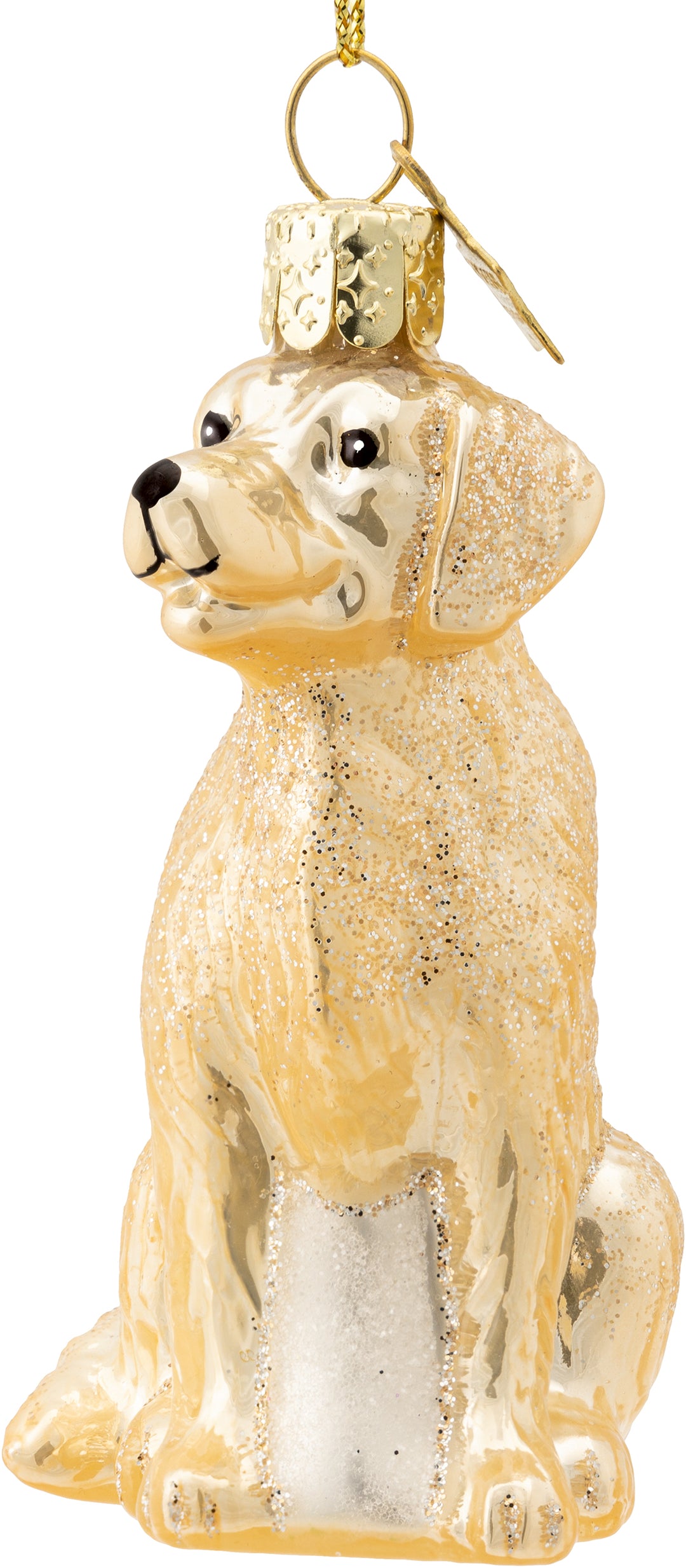 Golden Retriever No.639