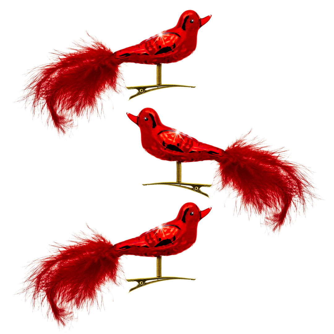 SIKORA BS461 Essentials 3er Set traditioneller Christbaumschmuck aus Glas Clip Vögel mit Federschwanz hochglanz