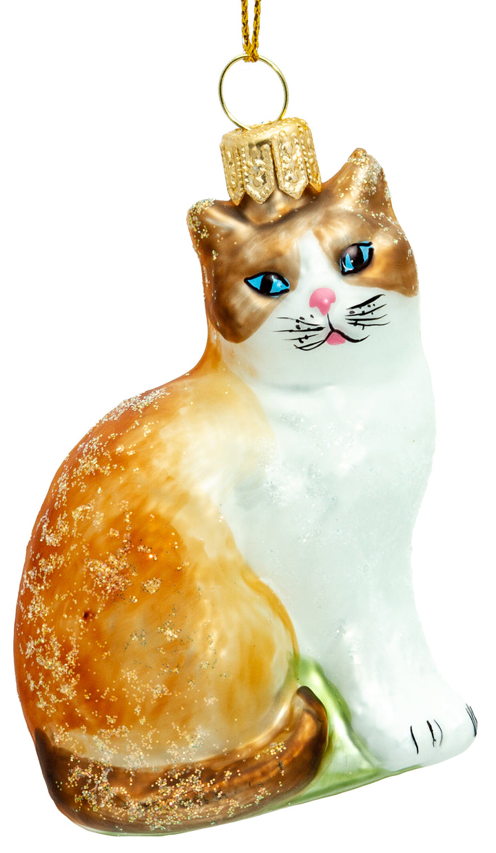 Katze No.705