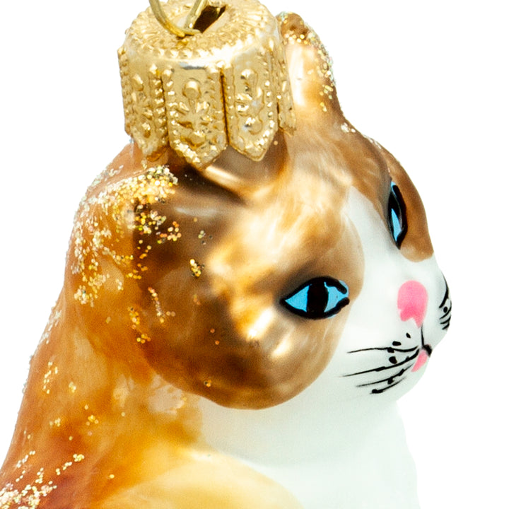 Katze No.705