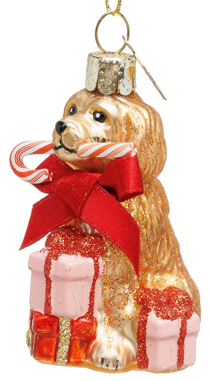 Cockapoo Hund No.052