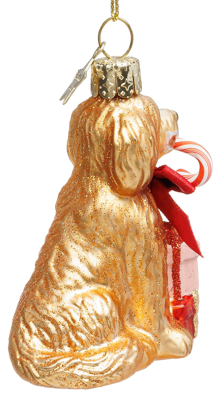 Cockapoo Hund No.052