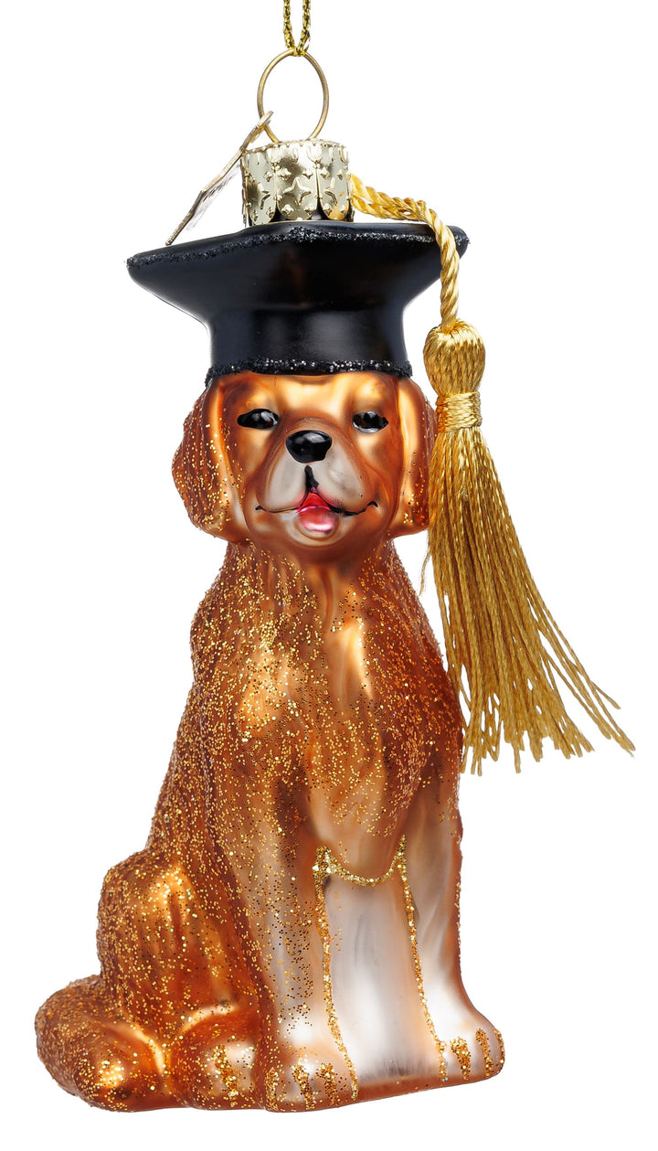 Graduation Dog No.066