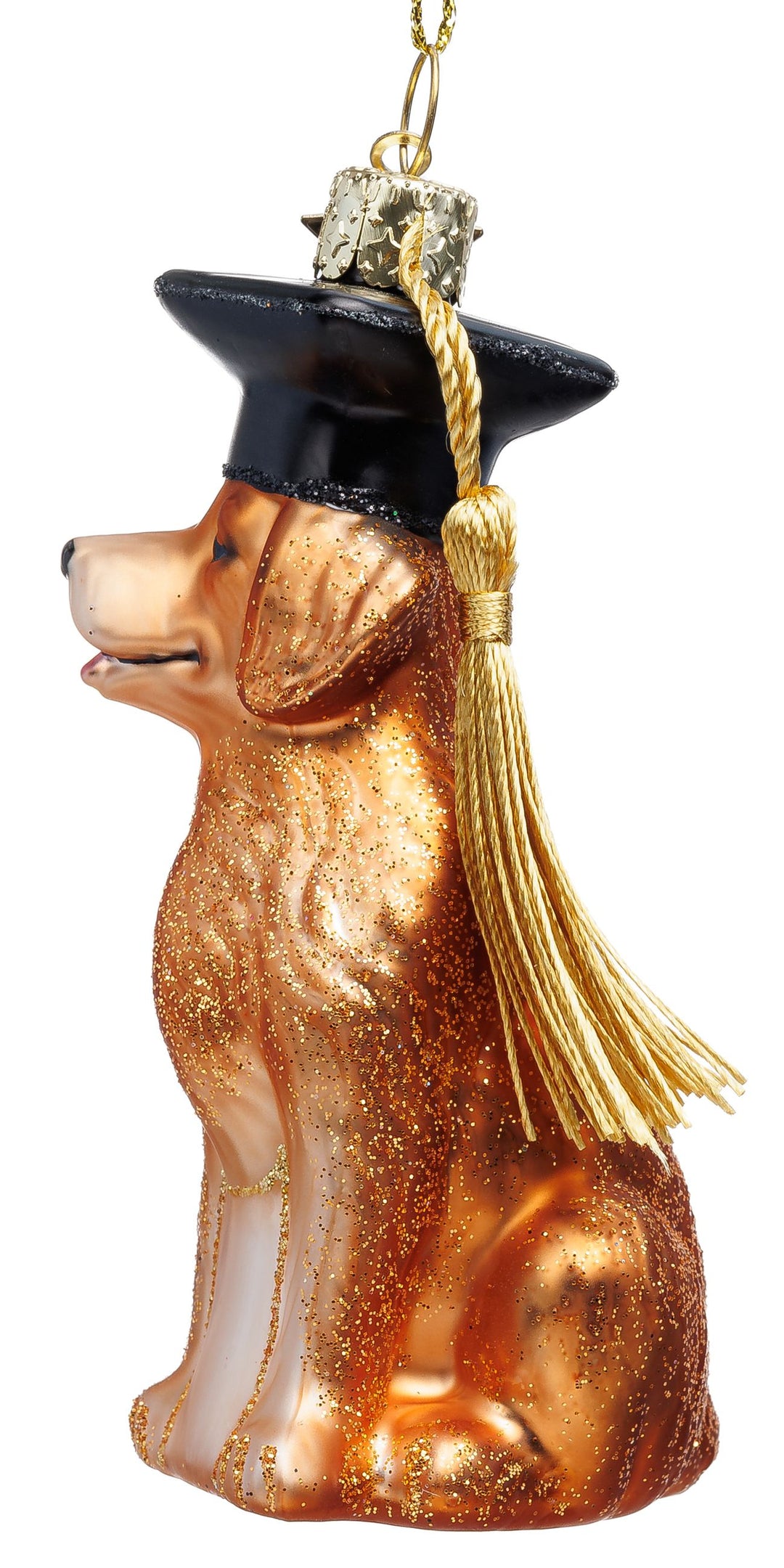 Graduation Dog No.066
