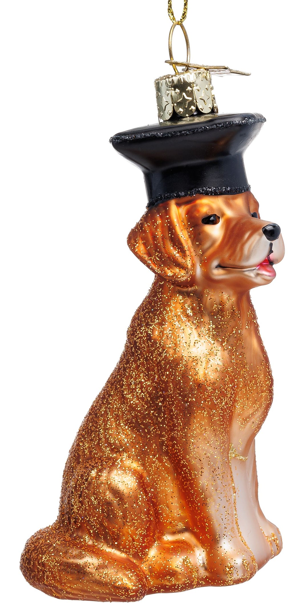 Graduation Dog No.066