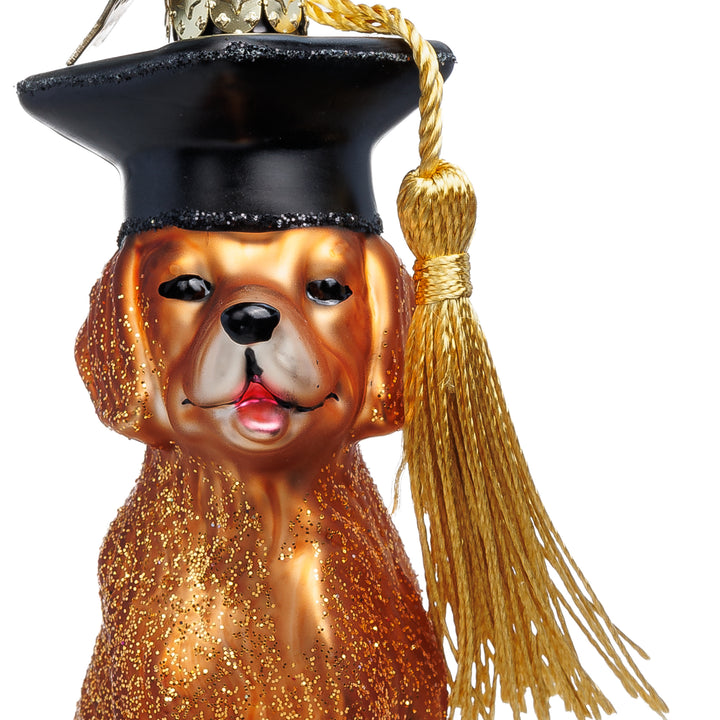 Graduation Dog No.066