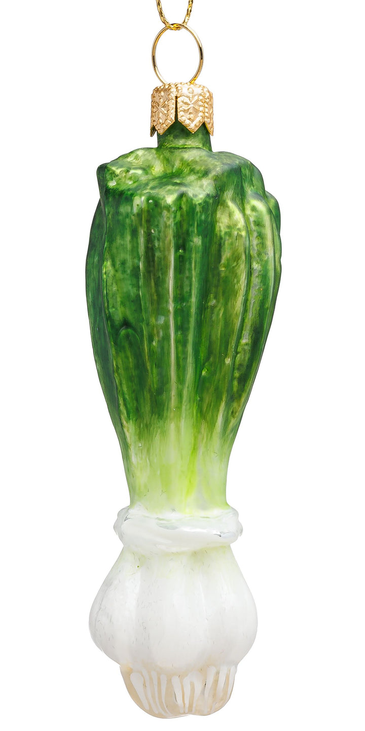 Lauchzwiebel No. 076