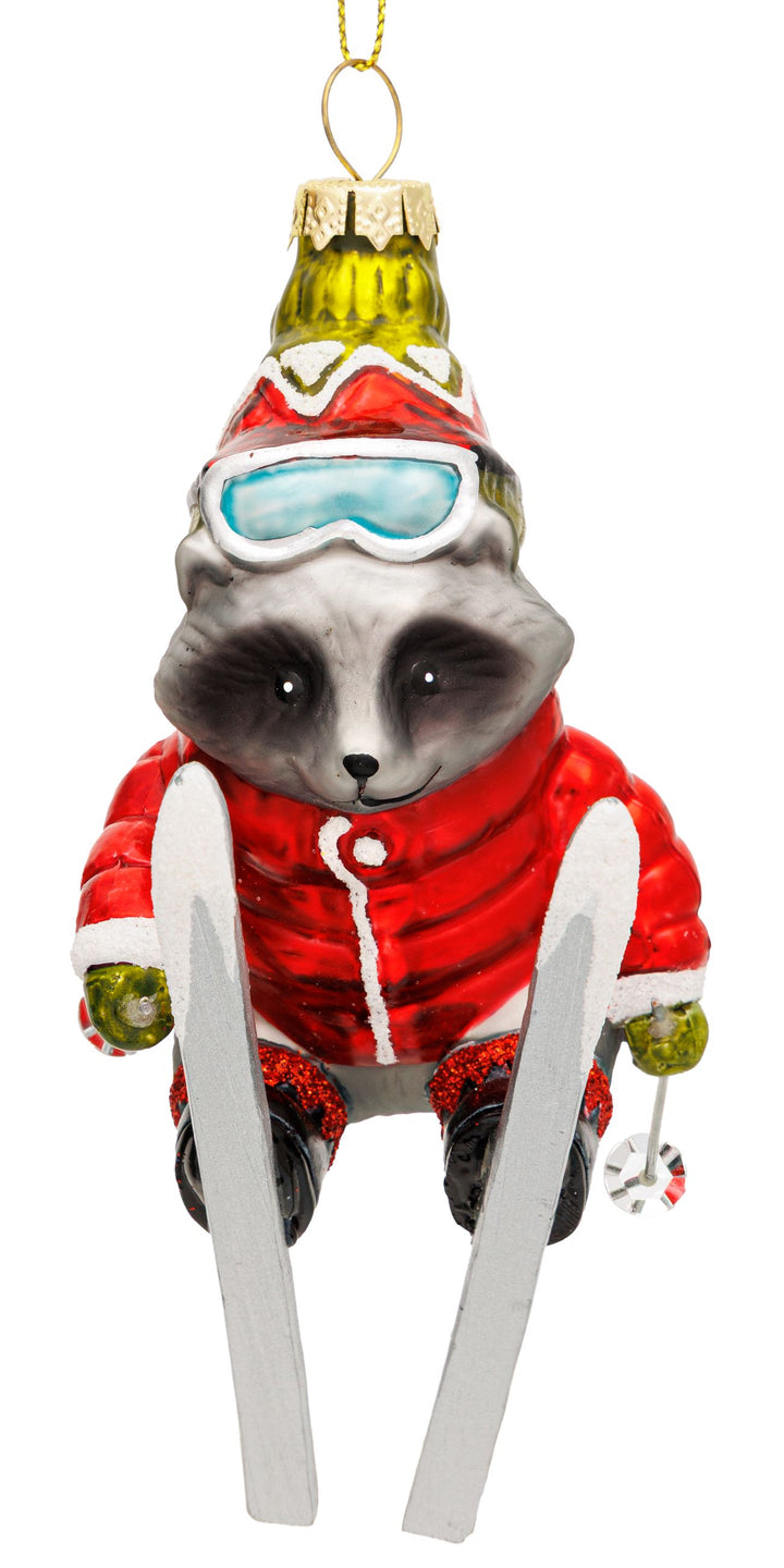 Waschbär auf Ski No.081