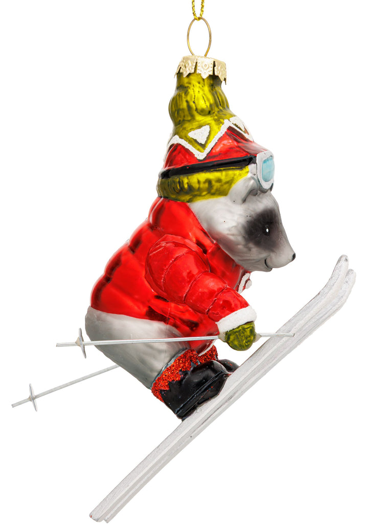 Waschbär auf Ski No.081