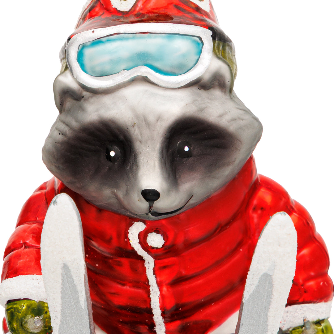 Waschbär auf Ski No.081