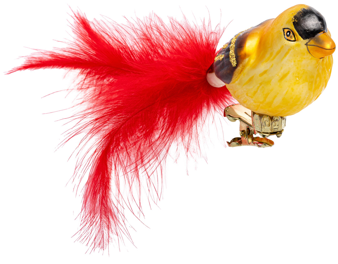 Clip Vogel No.195