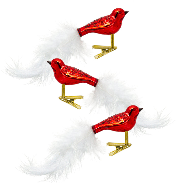 SIKORA BS460 3er Set traditioneller Christbaumschmuck aus Glas kleine Clip Vögel mit Federschwanz - hochglanz - viele Farben
