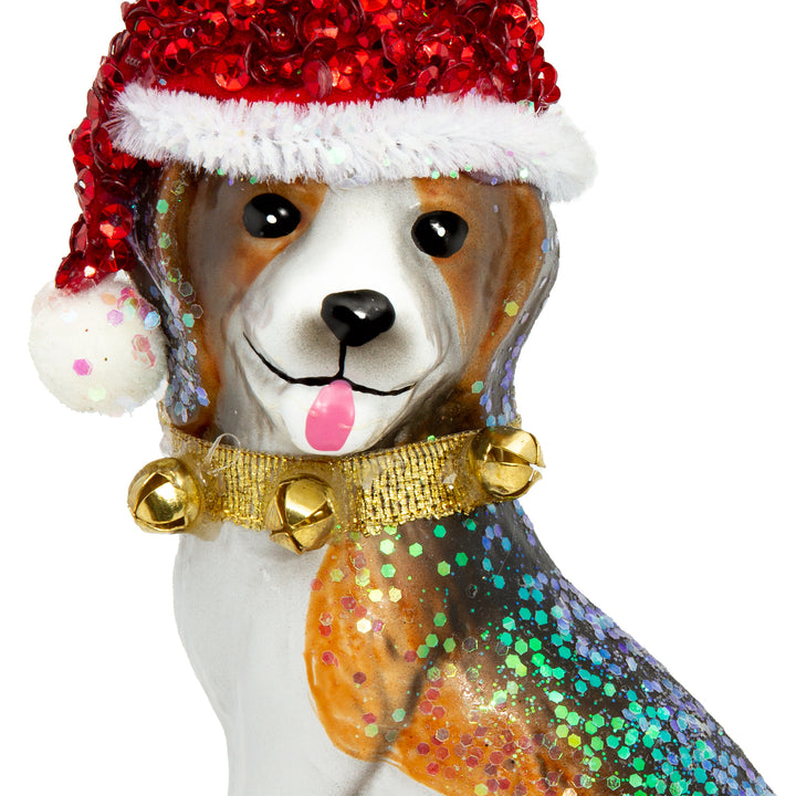 Beagle mit Mütze No.488
