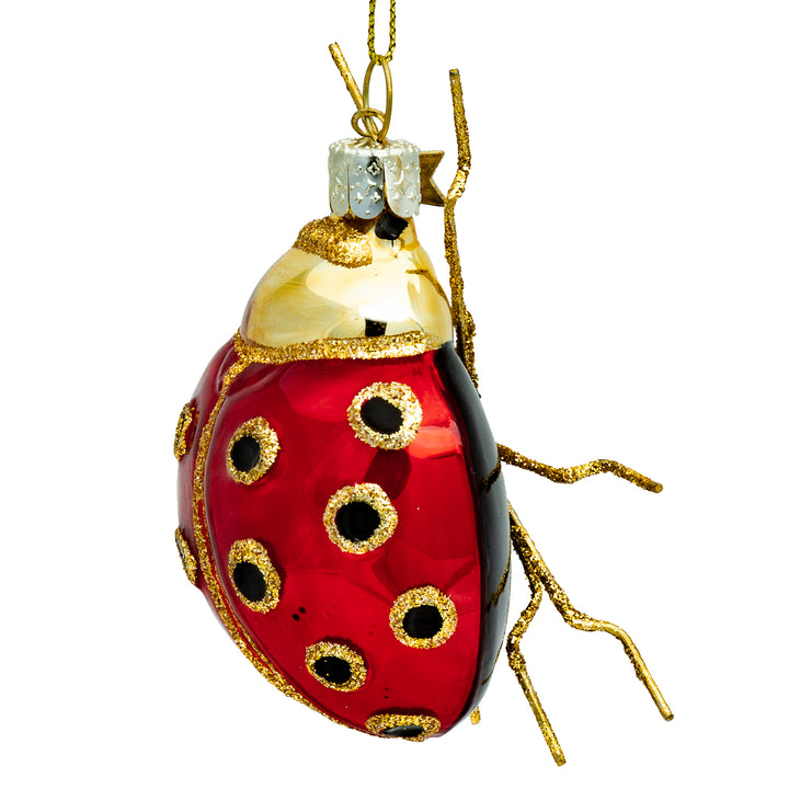Marienkäfer No.494