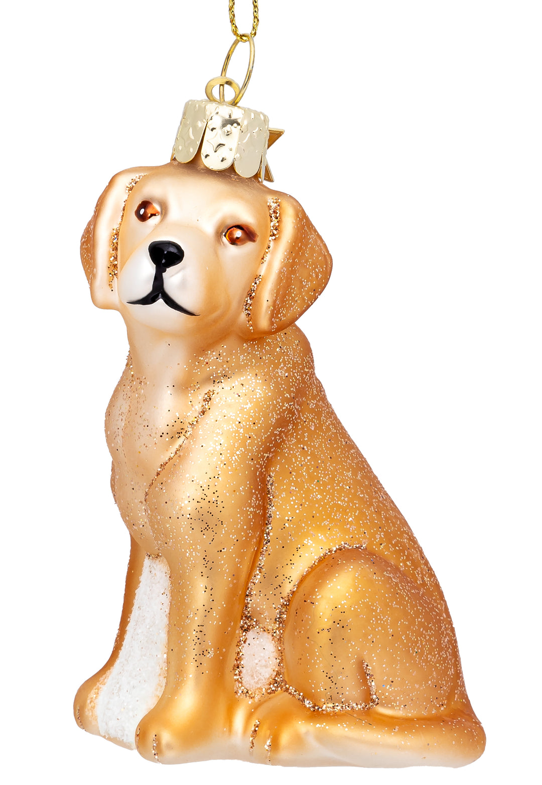 Labrador No.560