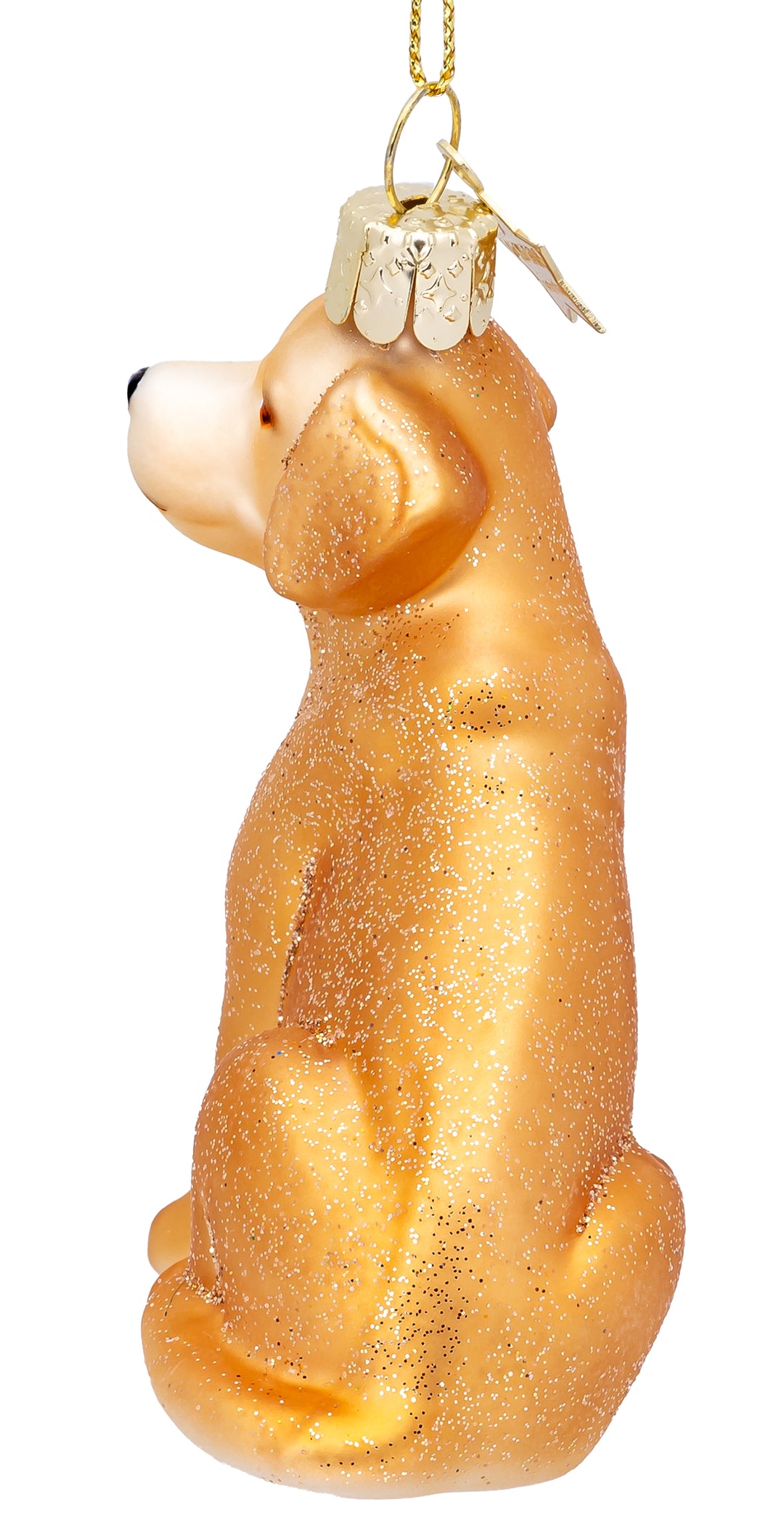 Labrador No.560