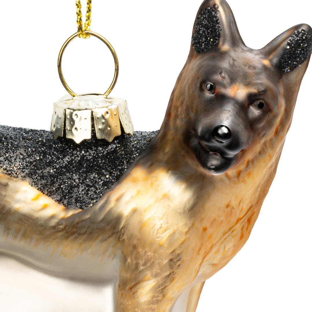 Schäferhund No.584