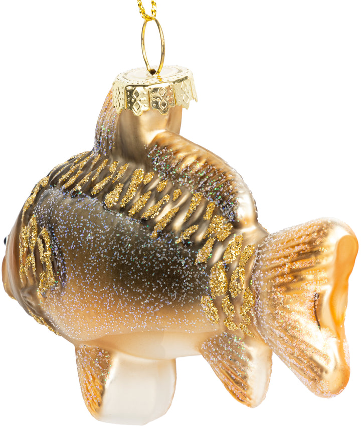 Spiegelkarpfen no.586