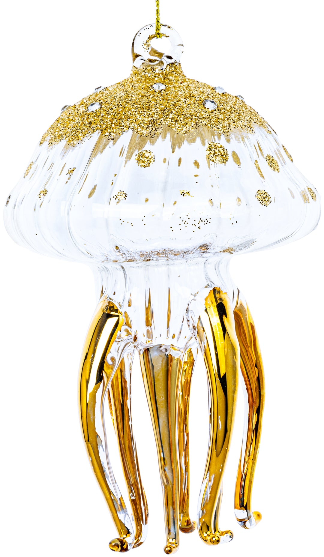 Qualle No.587
