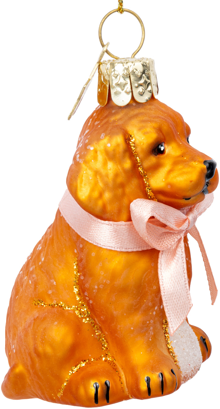 Labradoodle Baby No.589