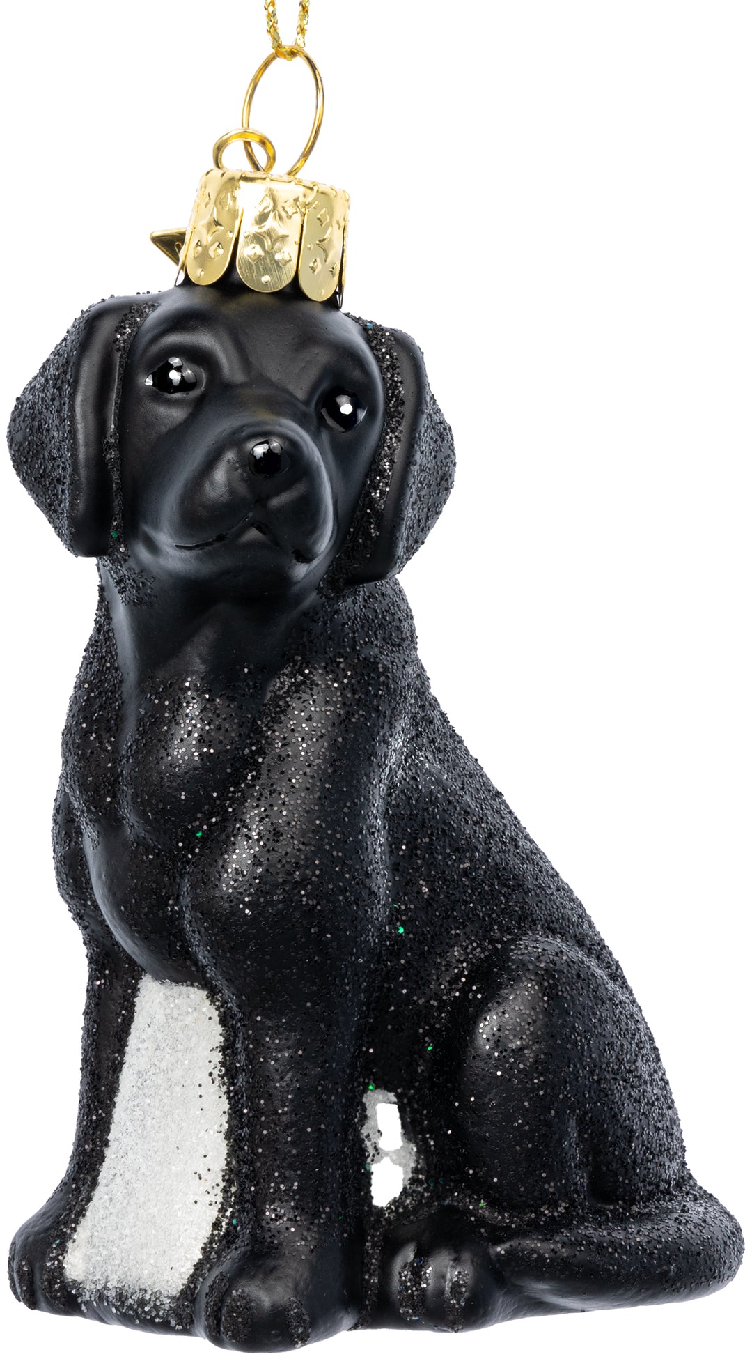 Labrador schwarz No.591