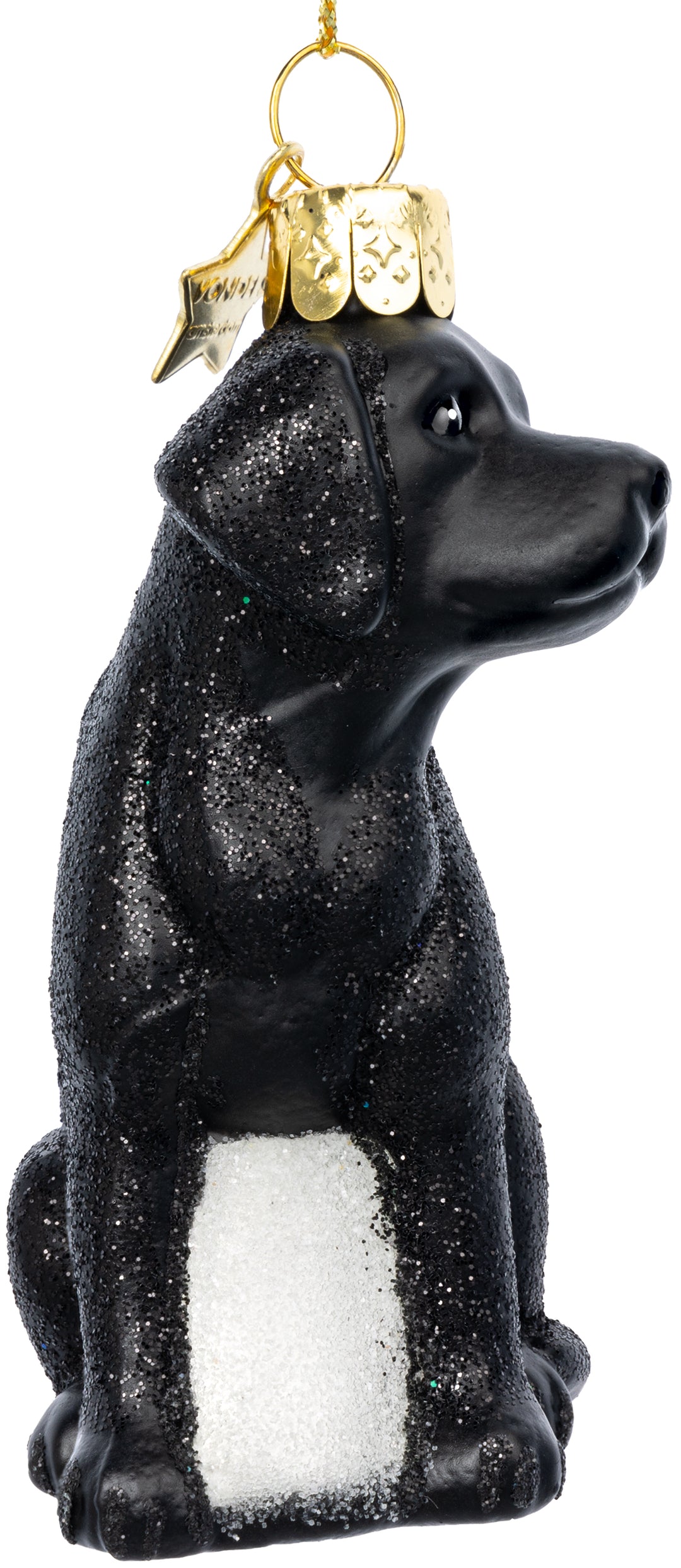 Labrador schwarz No.591