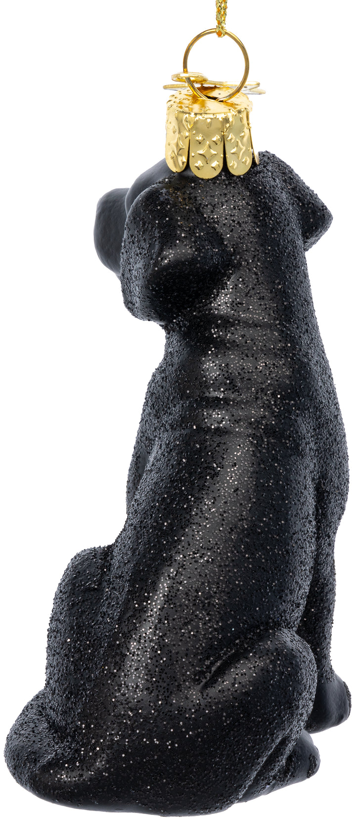 Labrador schwarz No.591