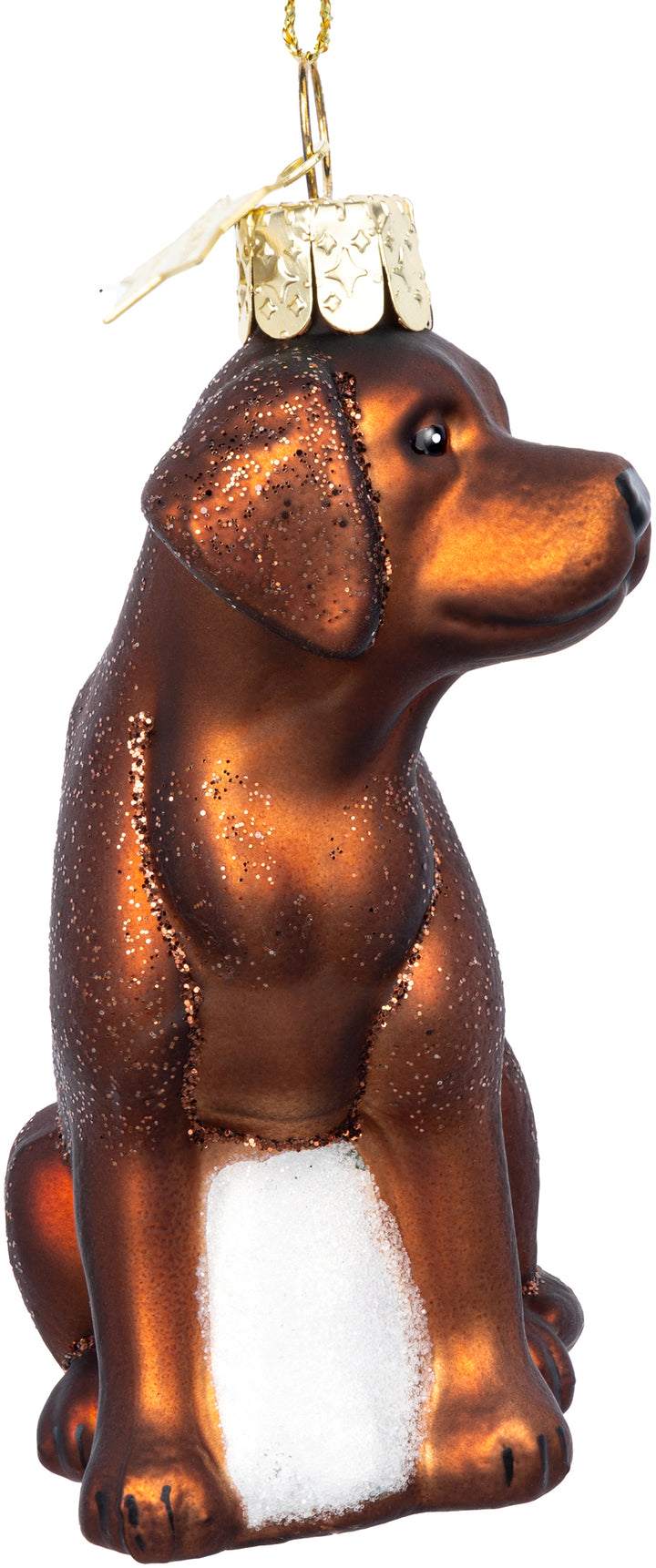 Labrador braun No.592