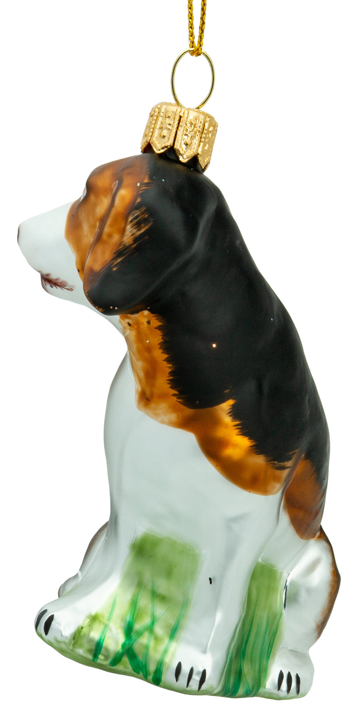 Beagle No.701