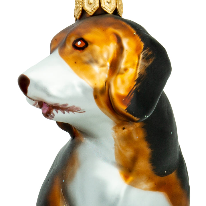 Beagle No.701