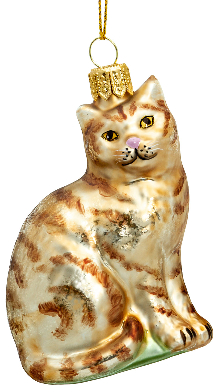 Katze No.705