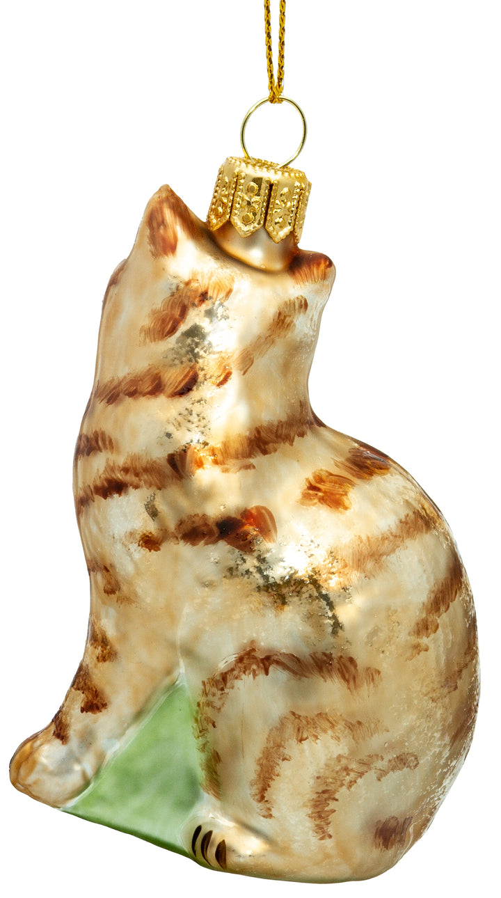 Katze No.705