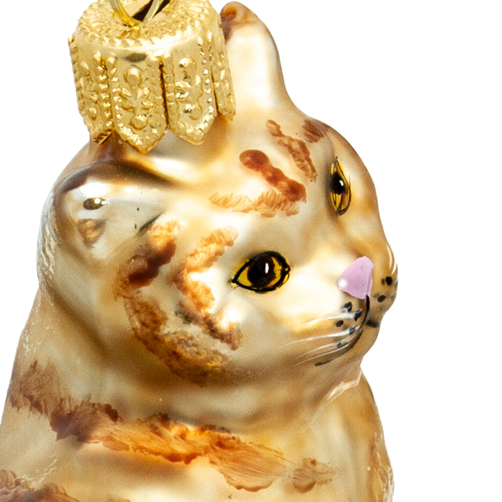 Katze No.705
