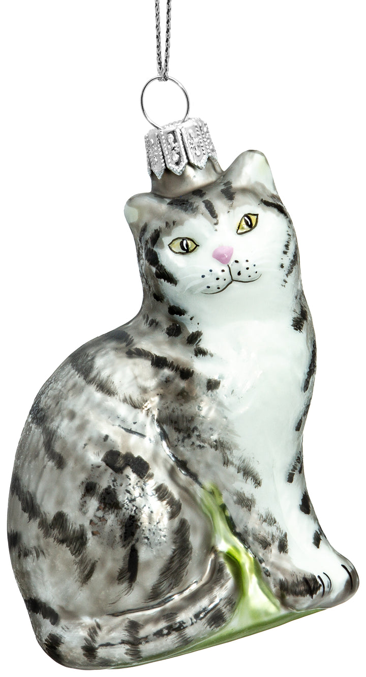 Katze No.705