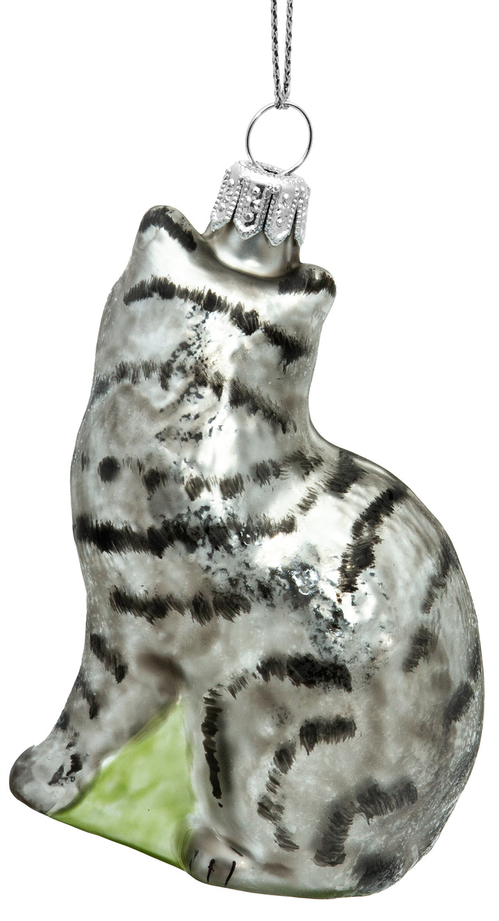 Katze No.705