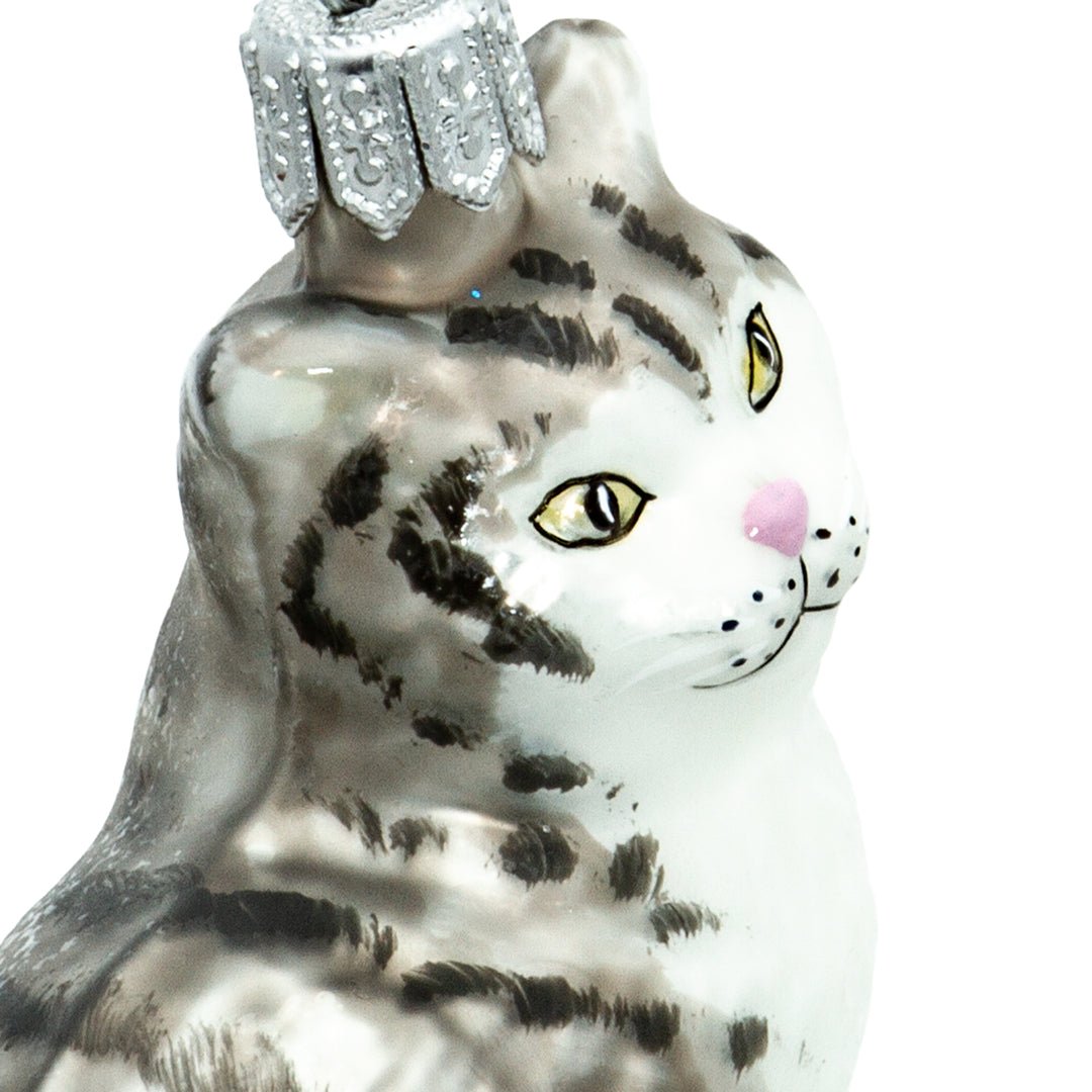 Katze No.705