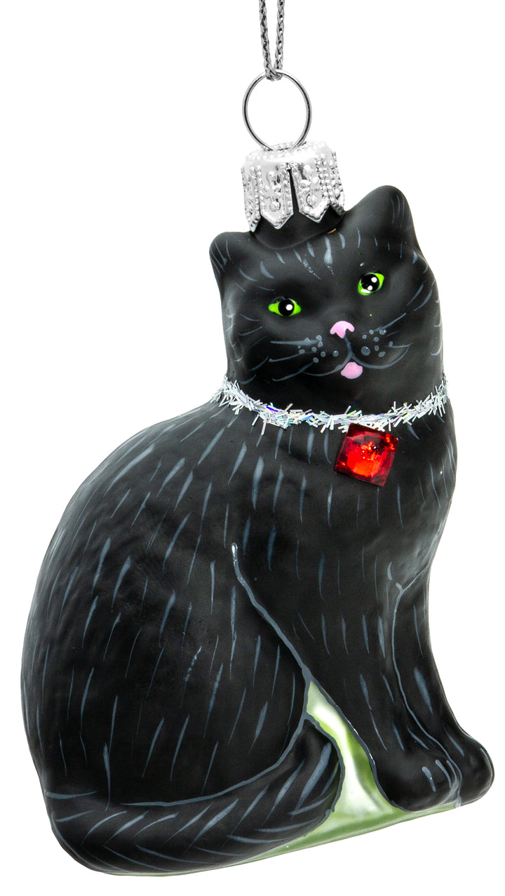 Katze No.705