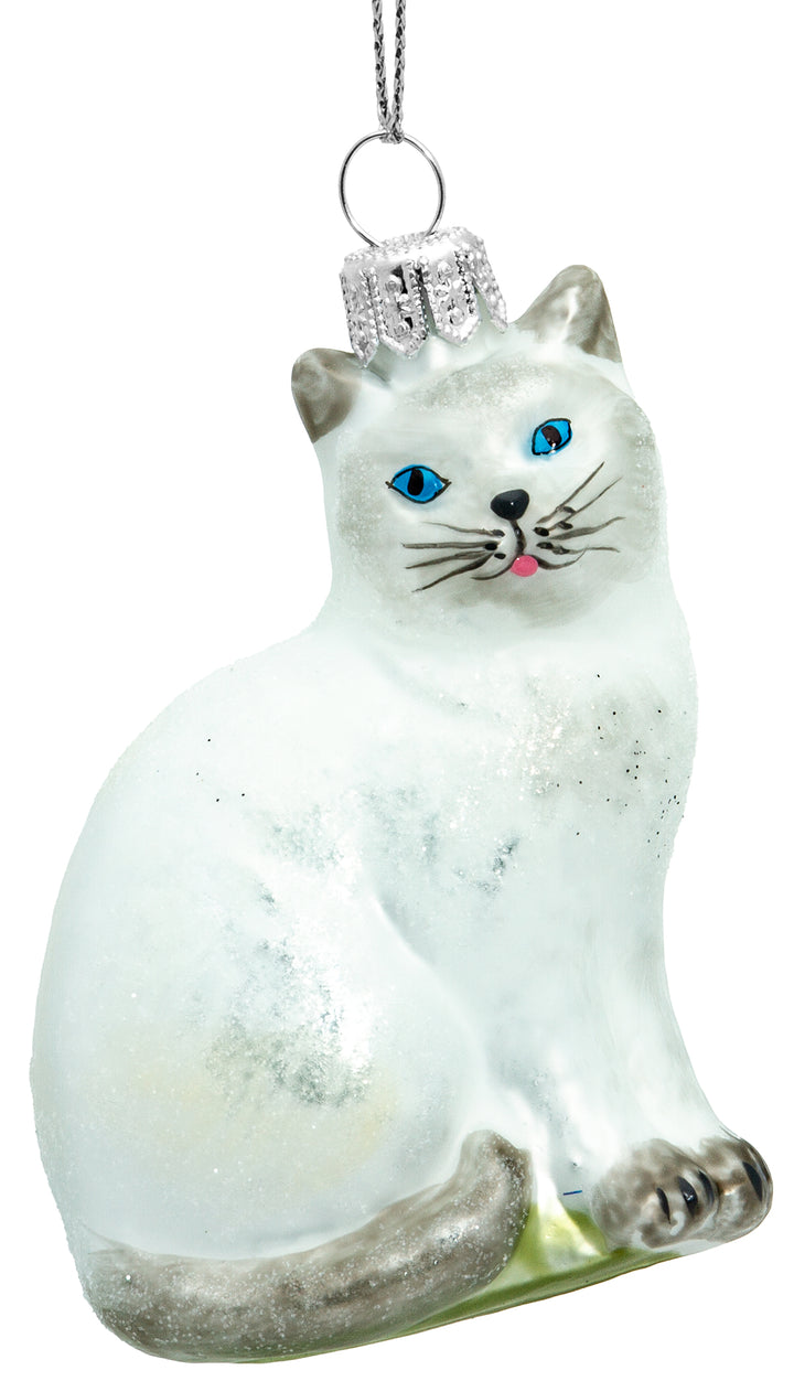 Katze No.705