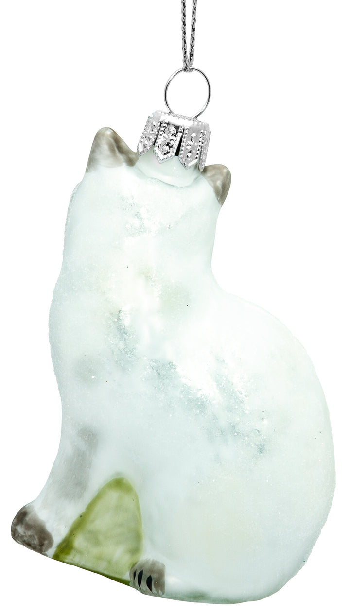 Katze No.705