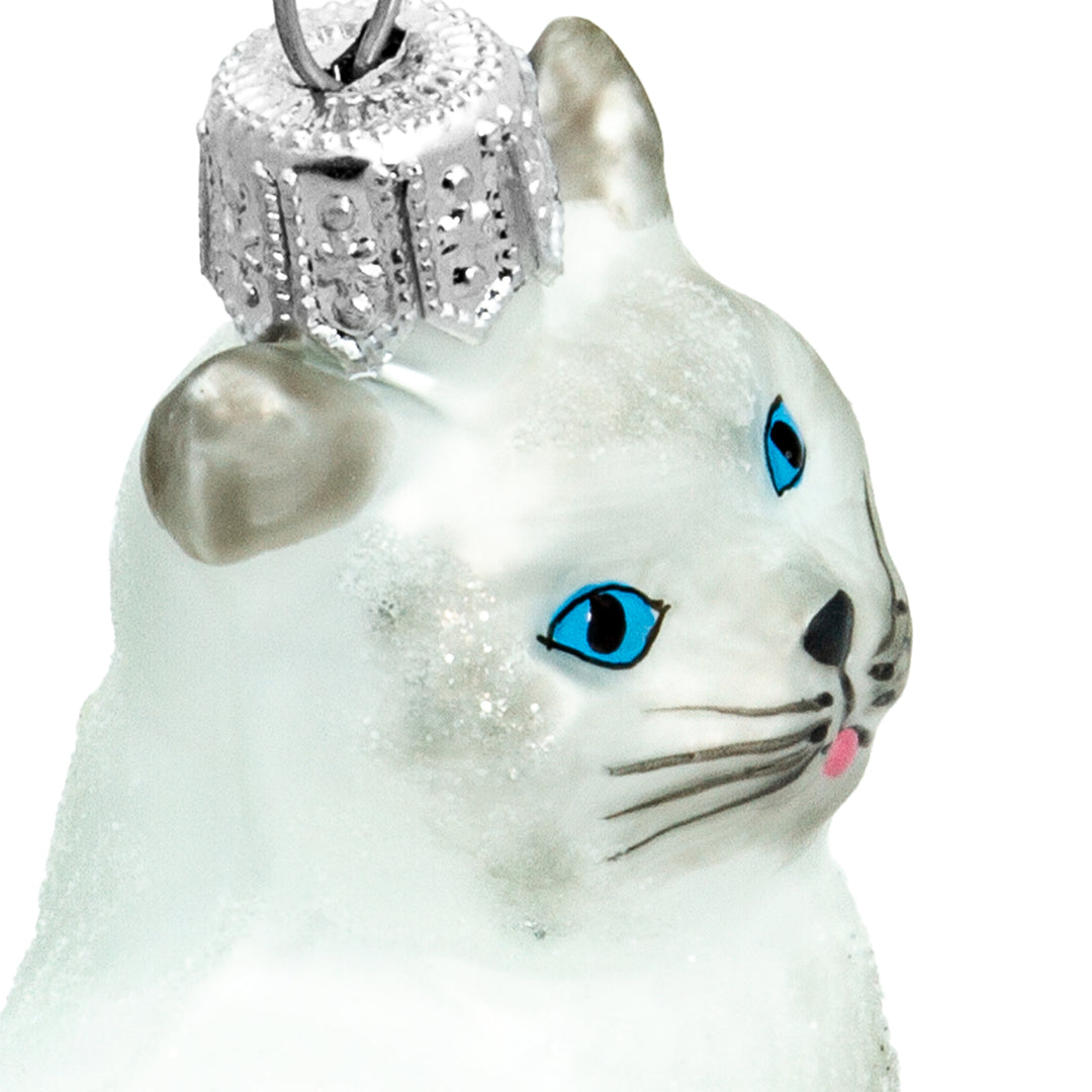 Katze No.705