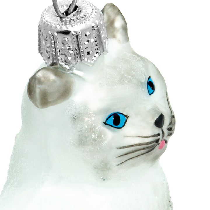Katze No.705