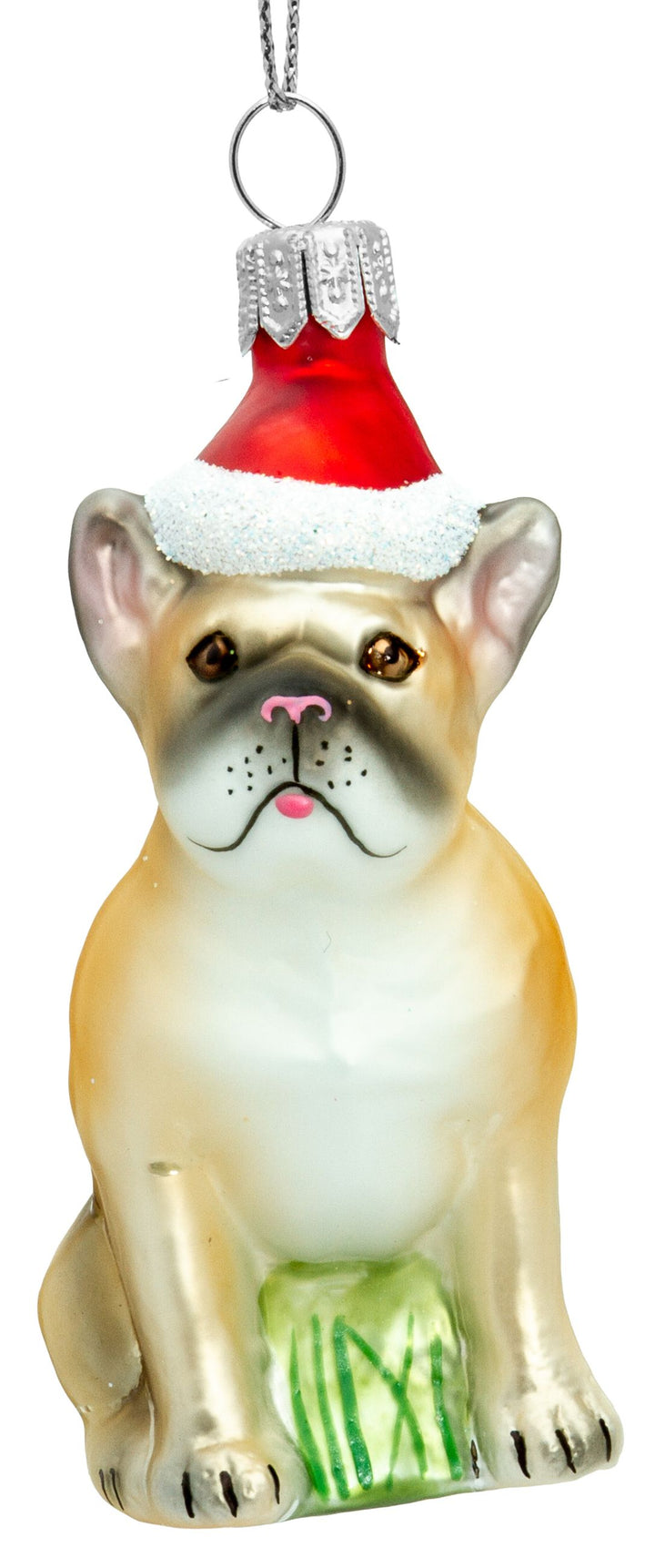 Französische Bulldogge No720