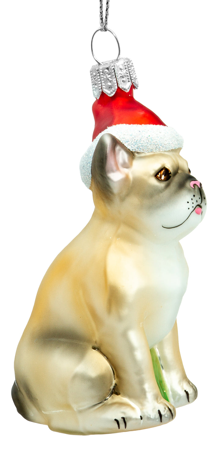 Französische Bulldogge No720