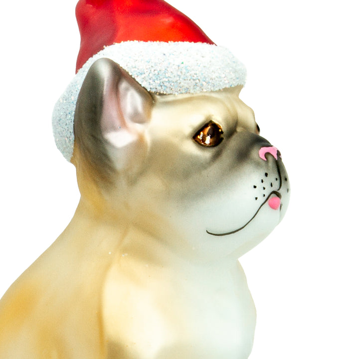 Französische Bulldogge No720