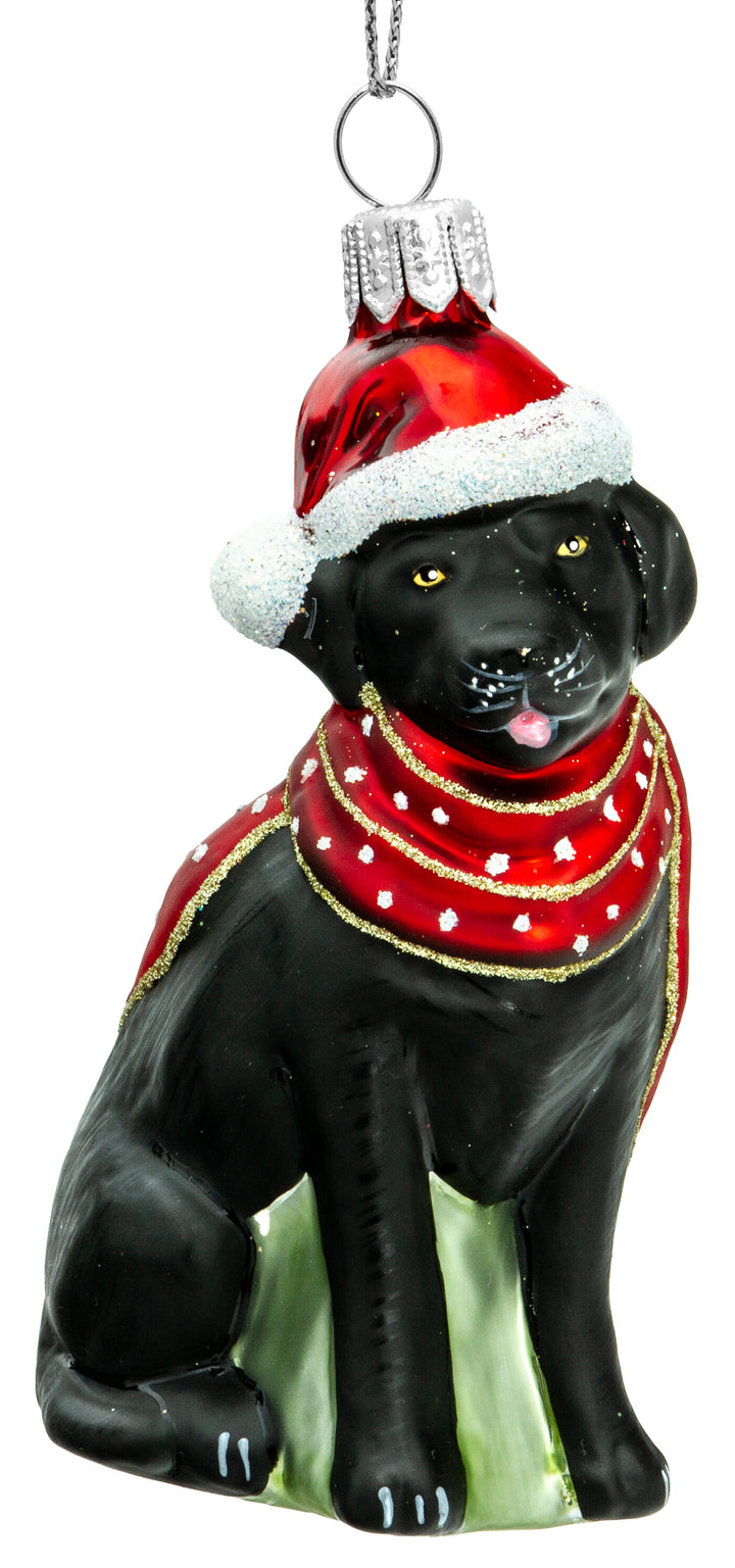 Labrador mit Schal No.719