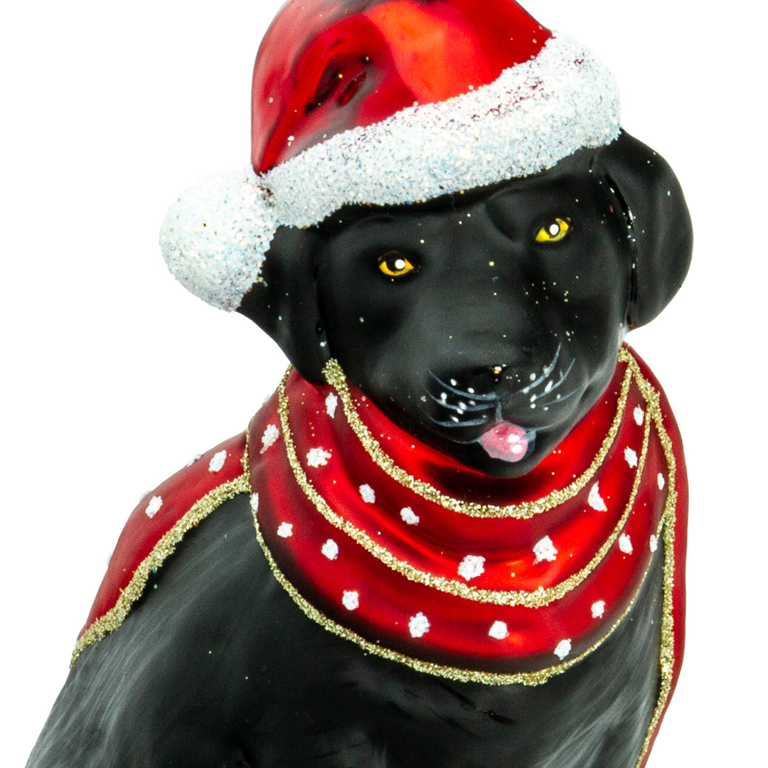 Labrador mit Schal No.719