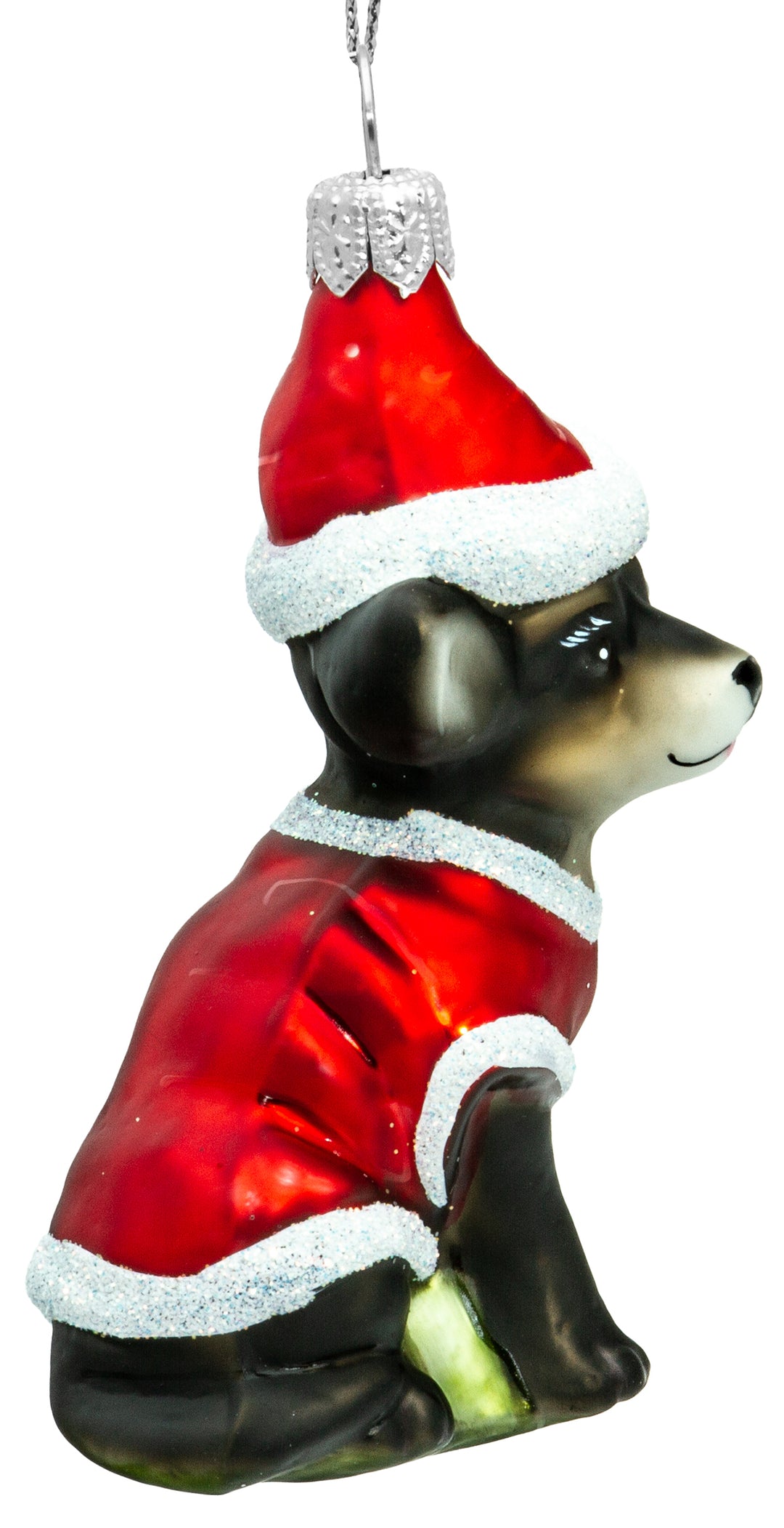 Chihuahua mit Weihnachtsmütze No.721